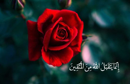 إِنَّمَا يَتَقَبَّلُ اللَّهُ مِنَ الْمُتَّقِينَ