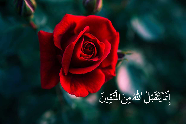 إِنَّمَا يَتَقَبَّلُ اللَّهُ مِنَ الْمُتَّقِينَ